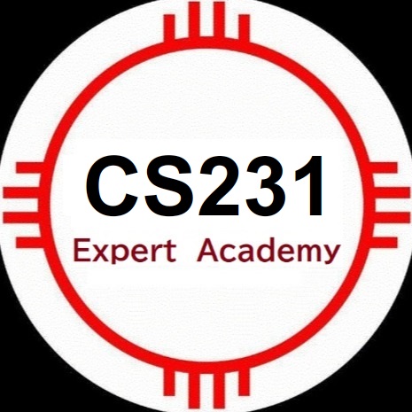 CS231