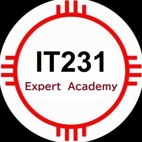 IT231