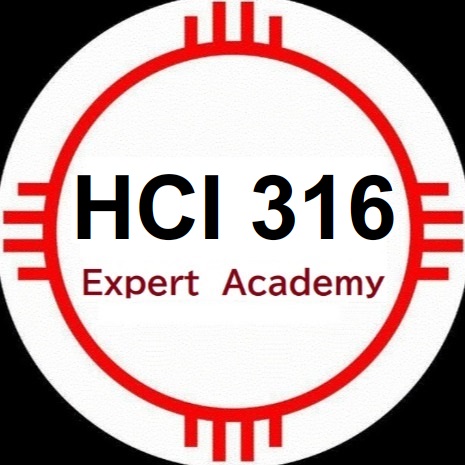 HCM213