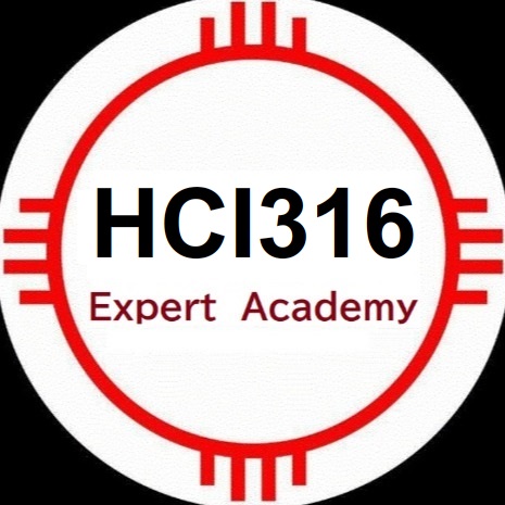 HCI 316