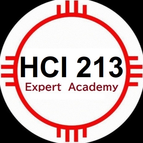 HCI213