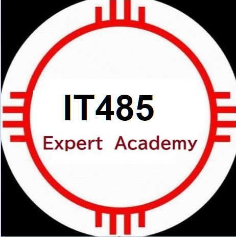 IT485
