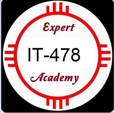 IT478