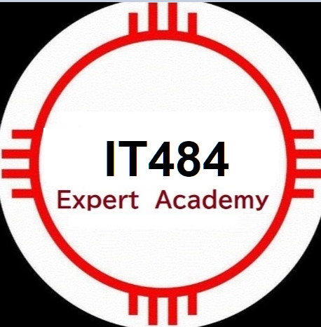 IT484