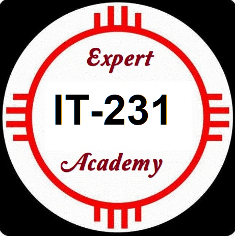 IT231